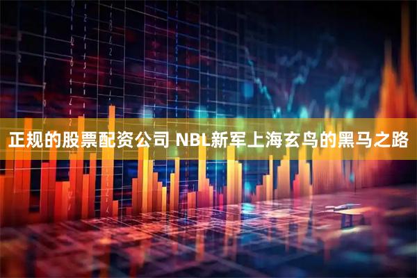 正规的股票配资公司 NBL新军上海玄鸟的黑马之路